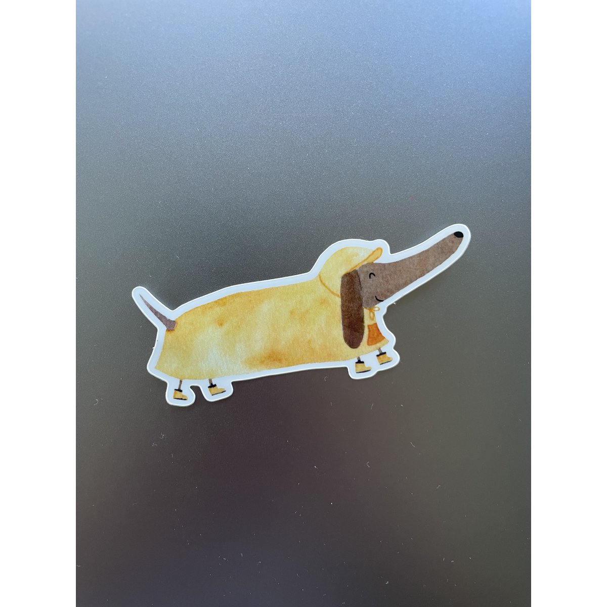 Vinylsticker teckel met regenjas
