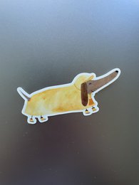 Vinylsticker teckel met regenjas
