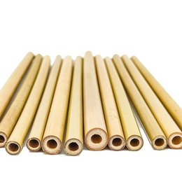 6 Bamboo Straws l Small model