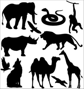Static stickers - Zoo