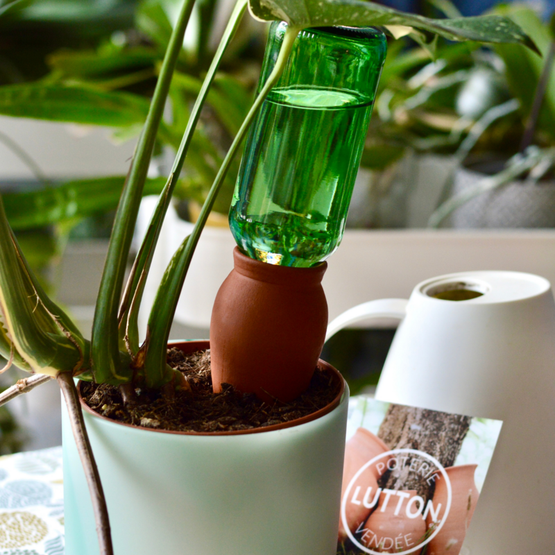 Ollas Kegle til at plante