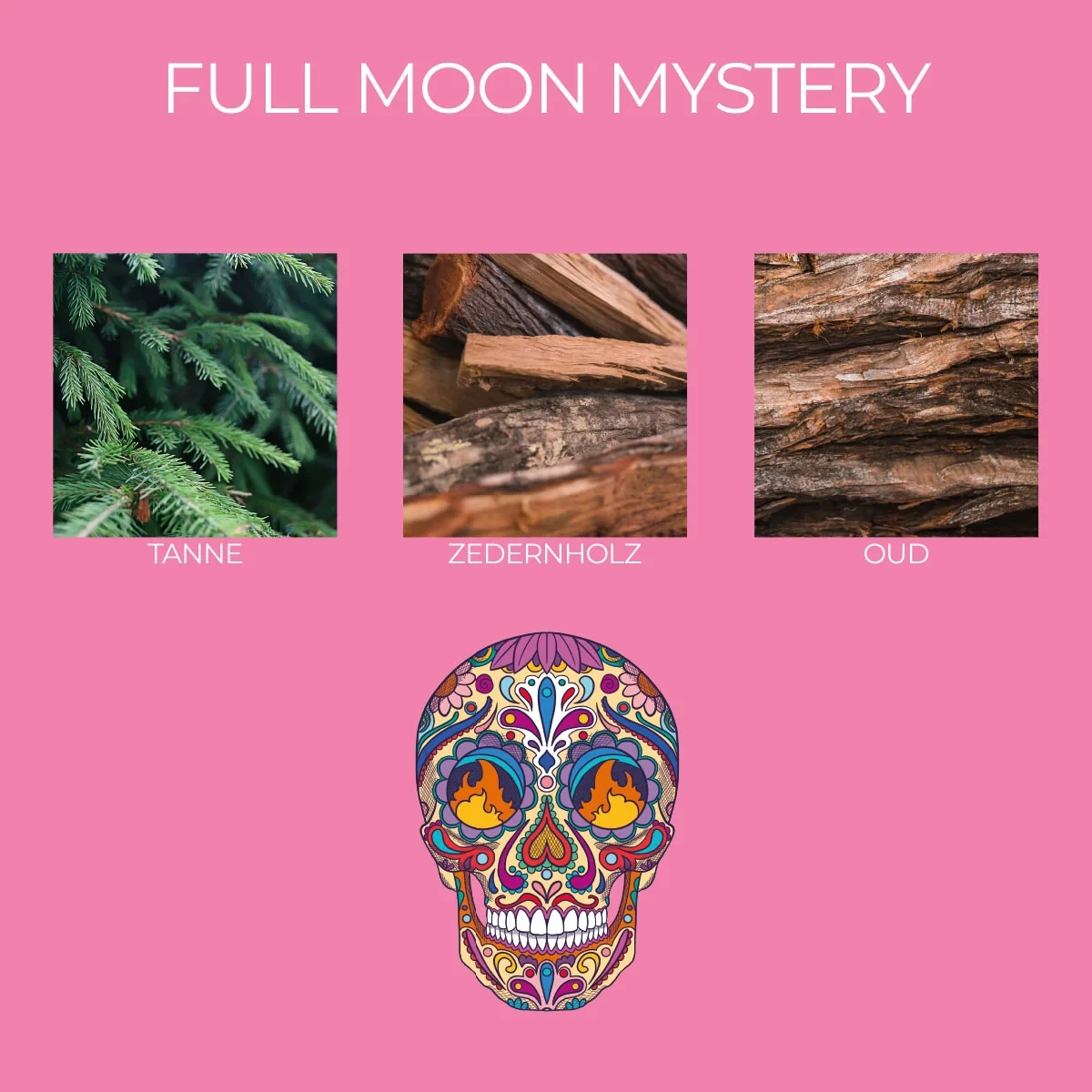 3er Set Duftkerze Frida Kahlo - Momentos elegantes, Mystery de Luna Llena, Lavender Luxe - 3 x 70G