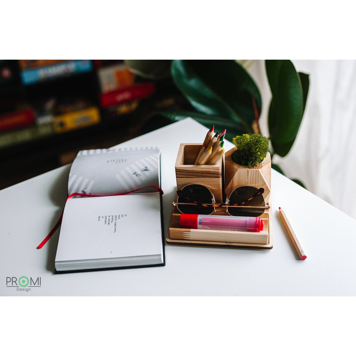 Wooden desk organizer with moss, Desk accessories with moss