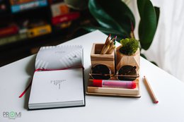 Wooden desk organizer with moss, Desk accessories with moss