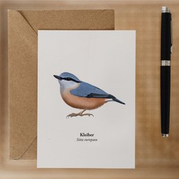 Postkort Kleiber - Vogel Illustration - Miniprint - Gave til Vogel Liever - Mini Art Print - Husholdte fugle