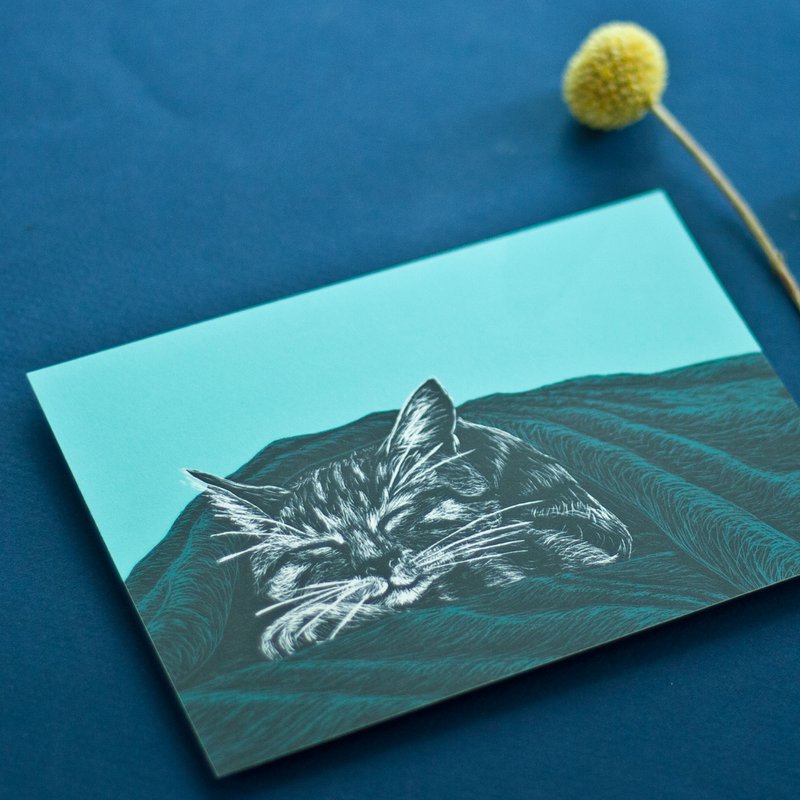 Carte postale A6 | Chat endormi