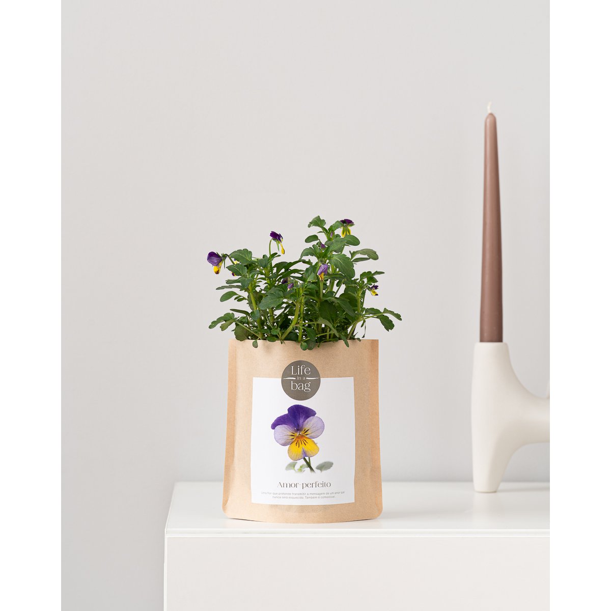 Grow Bag Wild Pansy