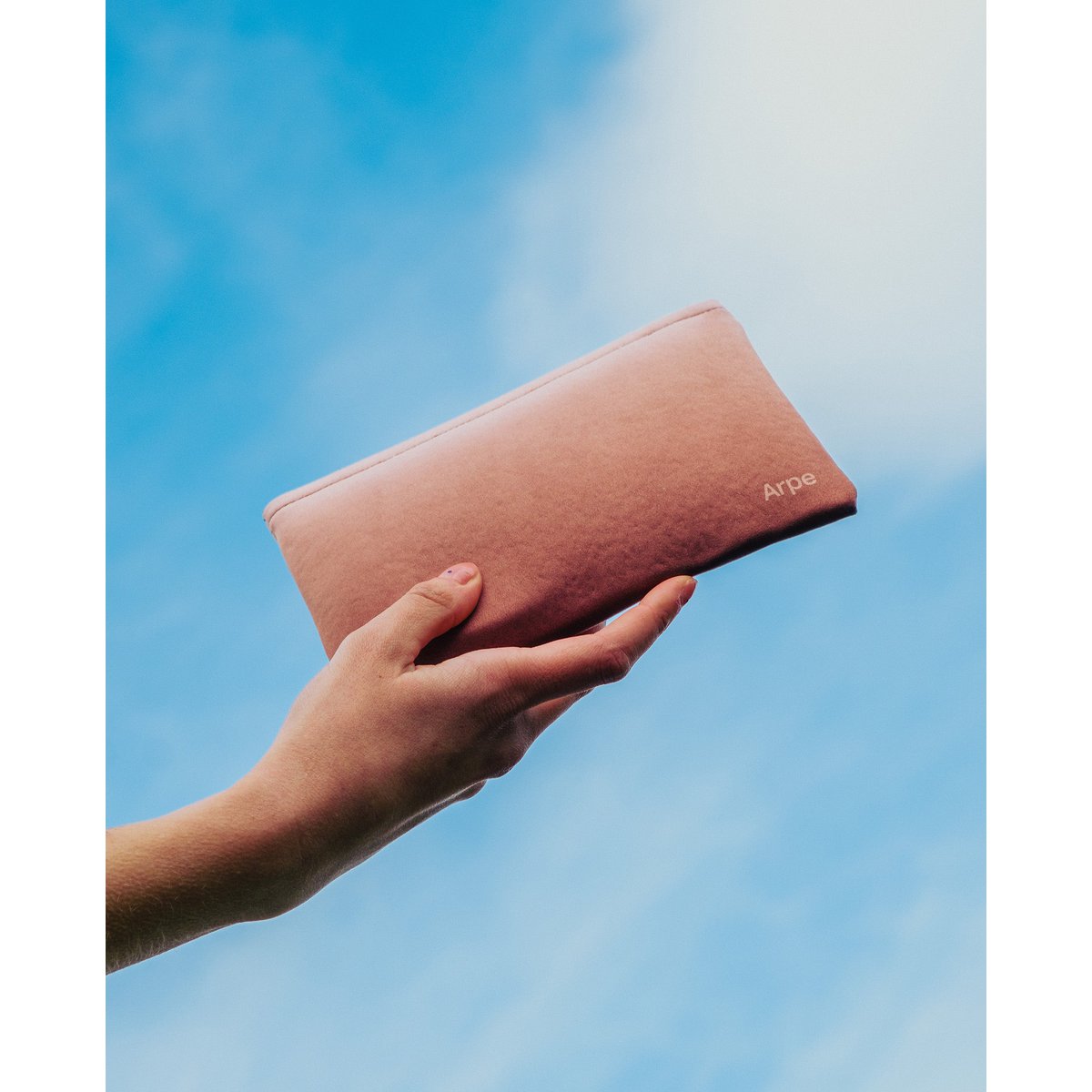 Small châtaignier de la pochette