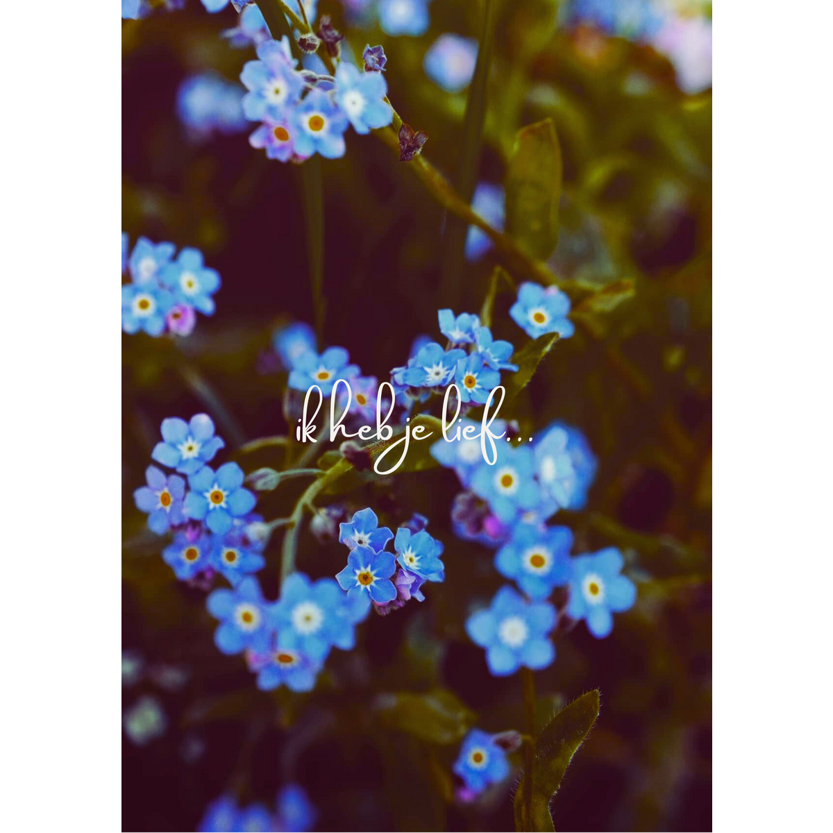 Eco card - I love you