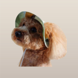 Okerkleurige pet-emmerhoed
