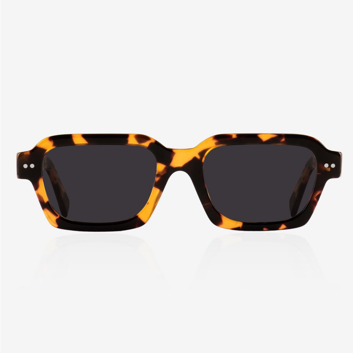 Ray-schildpad