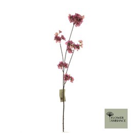 Prunus malaga spray vermilion 84cm