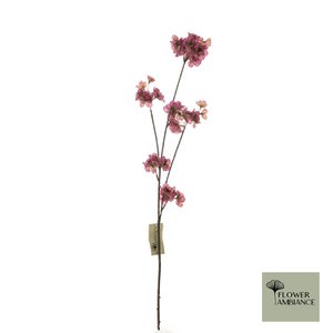 Prunus malaga spray vermilion 84cm