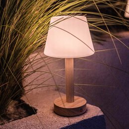 Zoë Light Brown Wooden Rechargeable Table Lamp