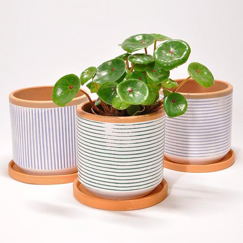 Terracotta green horizontal stripes pot S with plate
