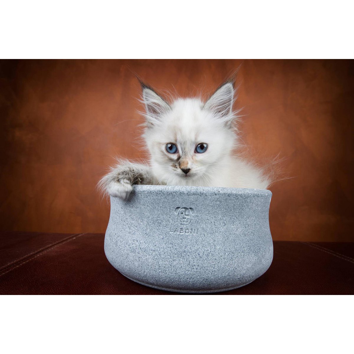 ROCKY - elegante ciotola per cani e gatti