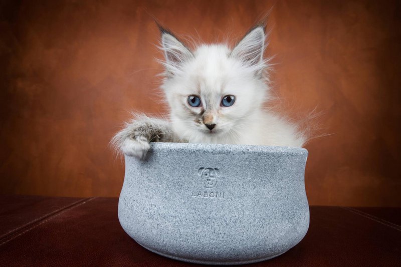 ROCKY - elegant skål til hunde og katte