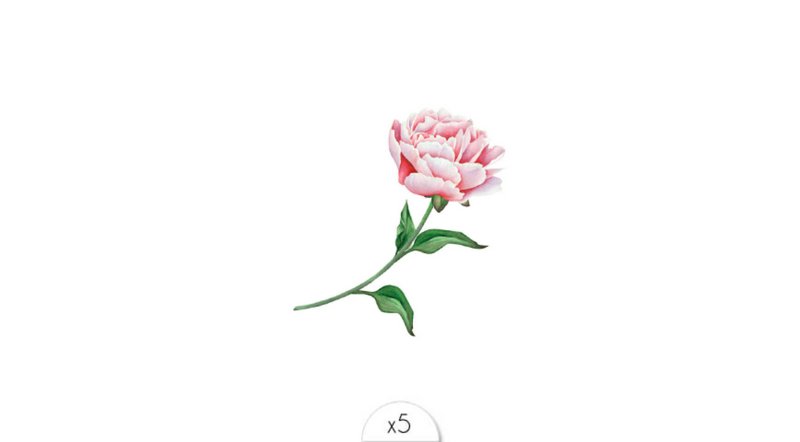 Tatuaje temporal: Rosa