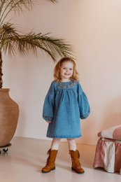 Marina Denim Dress