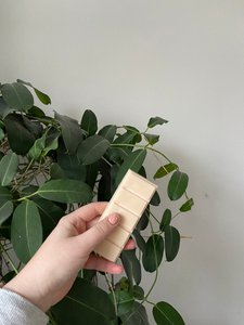 Apple pie snap bar