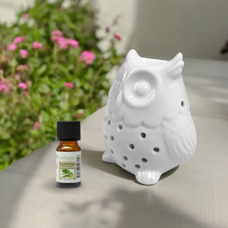 Quemador de Perfume - Búho - Diseño y Moderno - Portavelas Ceras Perfumadas, Aceites Esenciales - Accesorio Decorativo Aromaterapia