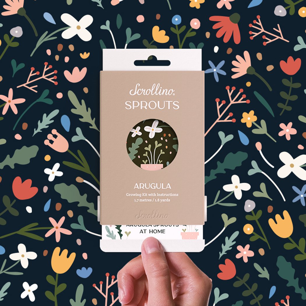 Originele activiteit en groeiende kit - Scrollino rucola spruiten