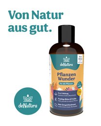 Plant Wonders - Naturligt stærke planter med bambusekstrakt