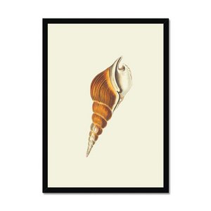 Turielle