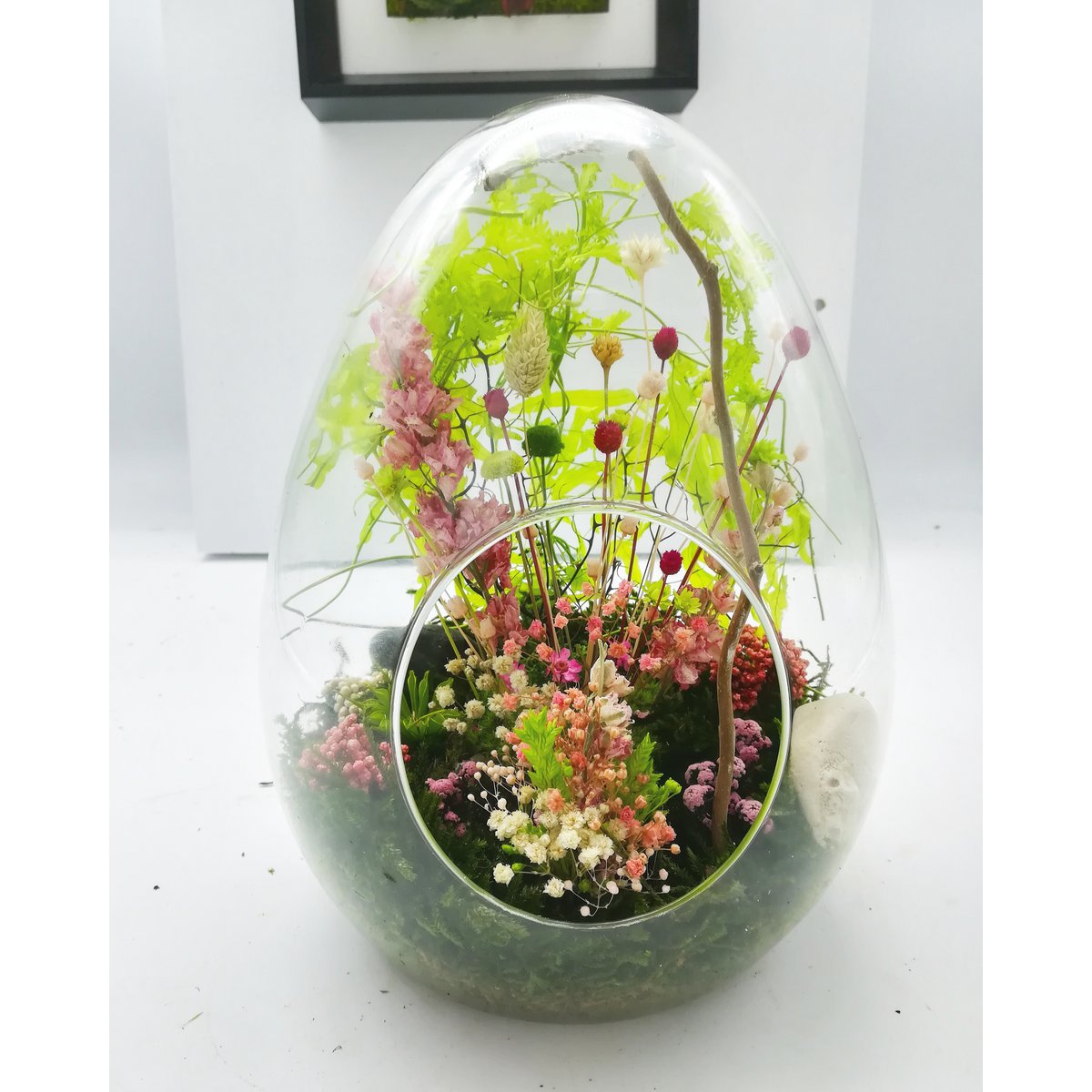 Stabilized egg terrarium