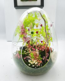 Stabilized egg terrarium