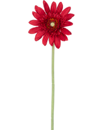 Artificial flower Gerbera 53 cm red