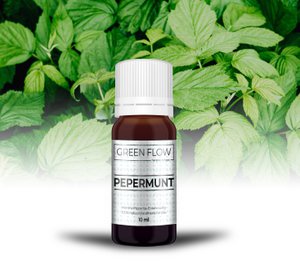 Peppermint - 10 ml - 100% Natural Pure Essential Oil