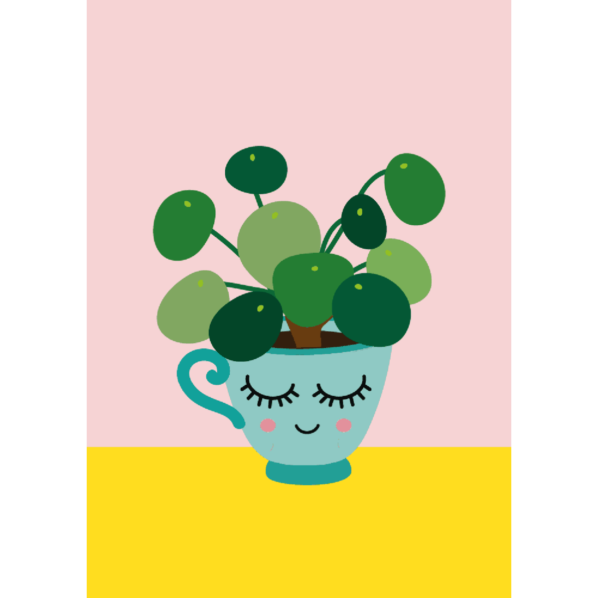 Pilea pandekageplante