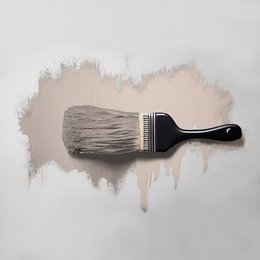 Vægfarve The Color Køkken Chilled Chai Latte TCK6017