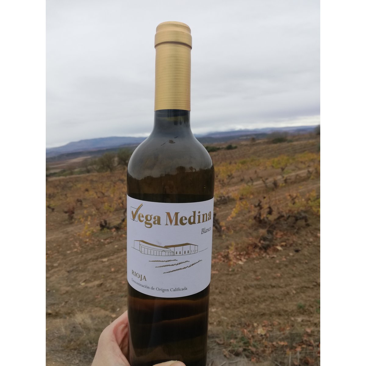 Young white wine D.O.Ca. Rioja Vega Medina