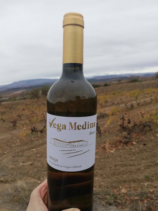 Young white wine D.O.Ca. Rioja Vega Medina
