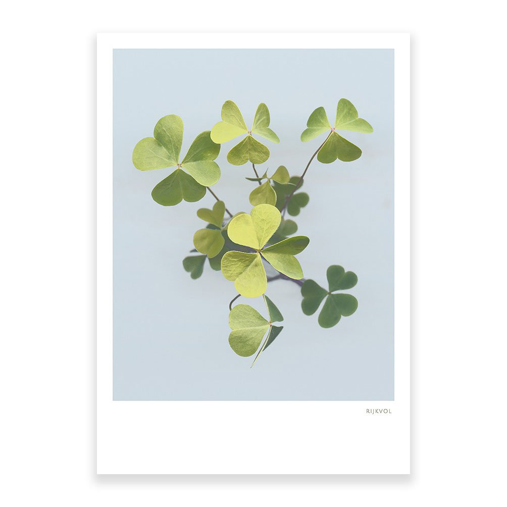 Klee 01, Postkarte