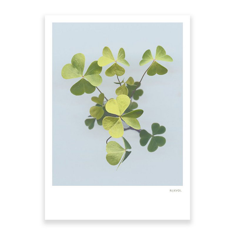 Klee 01, Postkarte