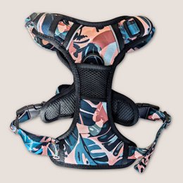 Savane Comfort Y Harness