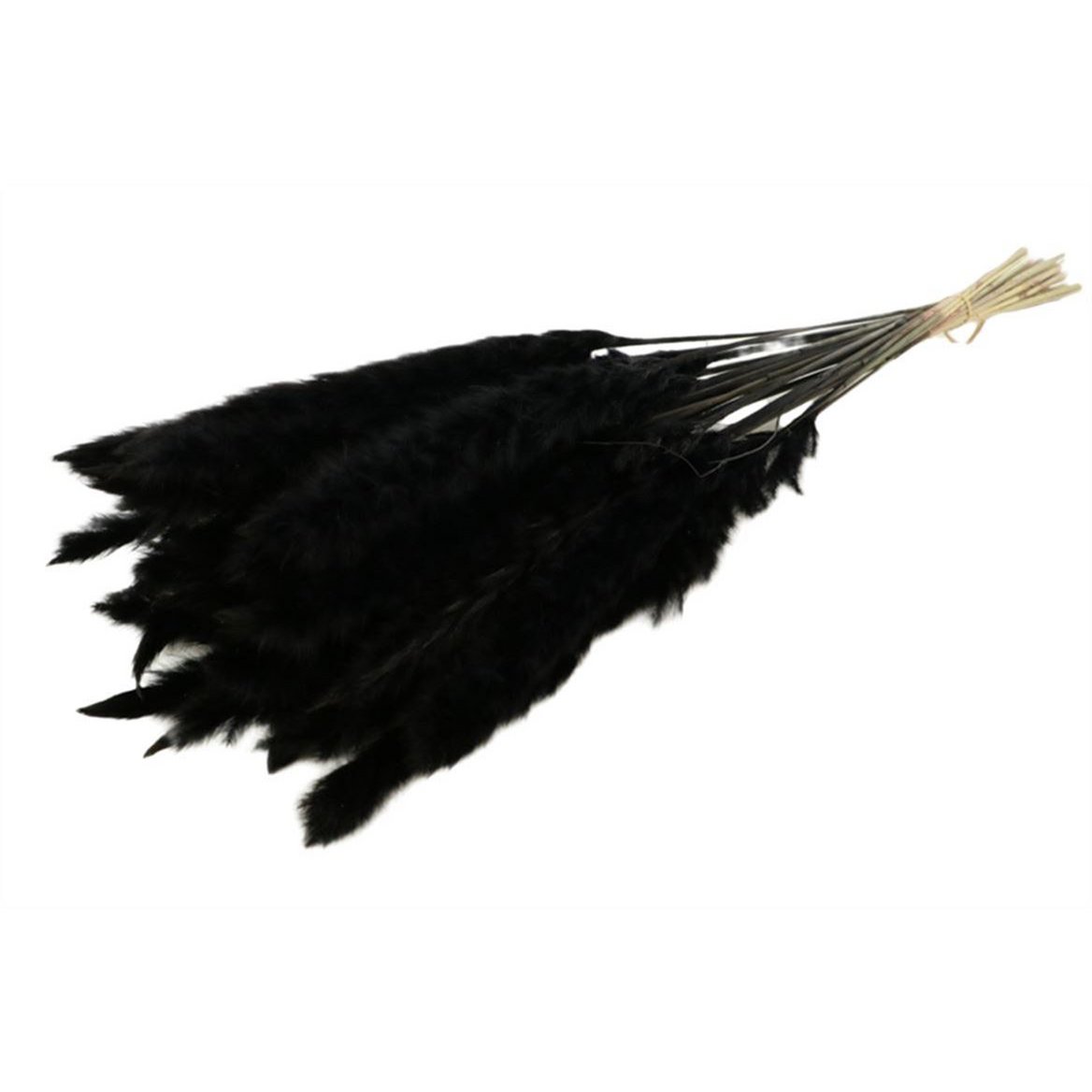 Fluffy Pampas, 35g/ca. 10-15 stk., 70cm, sort