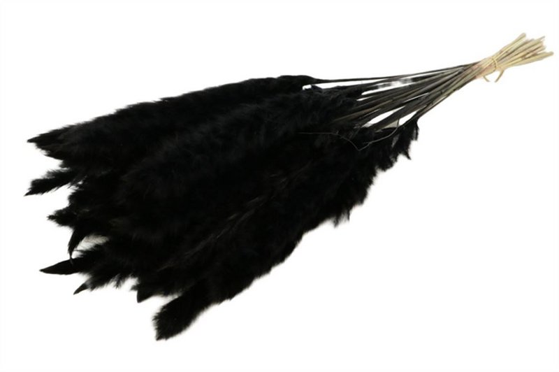 Fluffy Pampas, 35g/ca. 10-15 stk., 70cm, sort