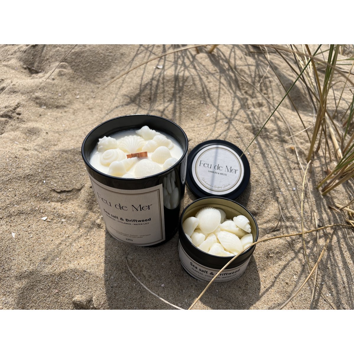 Wax melts seashells 50g - sea salt & driftwood