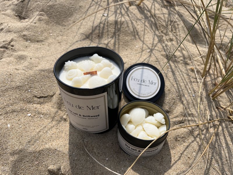 Wax melts seashells 50g - sea salt & driftwood