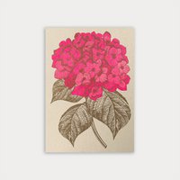 Postcard / hydrangea / eco paper