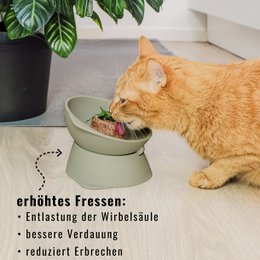 ne&no® Erhöhter Silikon Katzennapf + mit verstellbarer Neigung