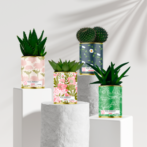 CACTUS MM SIGNATURE - 12 ASSORTED UNITS (HALF PACK 2/2)