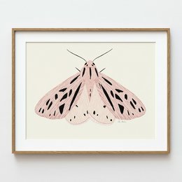 21x30 cm (A4)