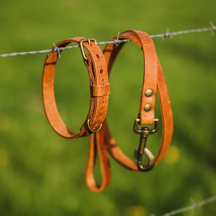 No Fuss Collar Dog Leather Camel