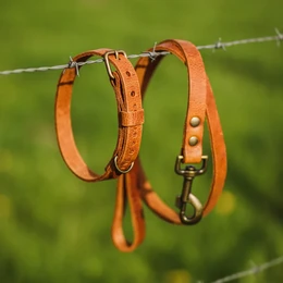 No Fuss Collar Dog Leather Camel