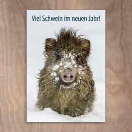 eye-comm Naturfotokarten
